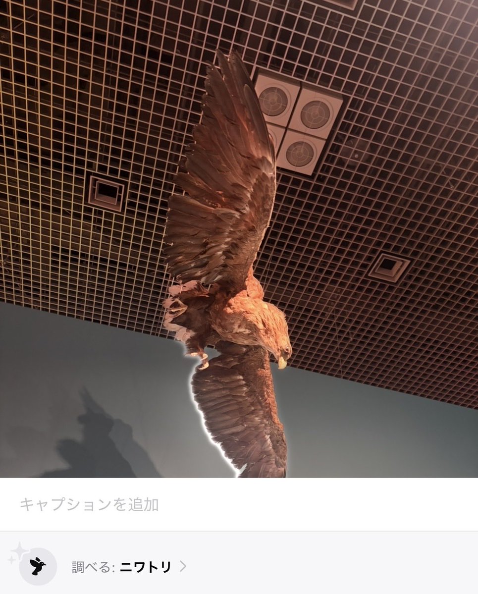 EzekielFf14's tweet photo. ニワトリではないだろ https://t.co/uKKIYTHWKl