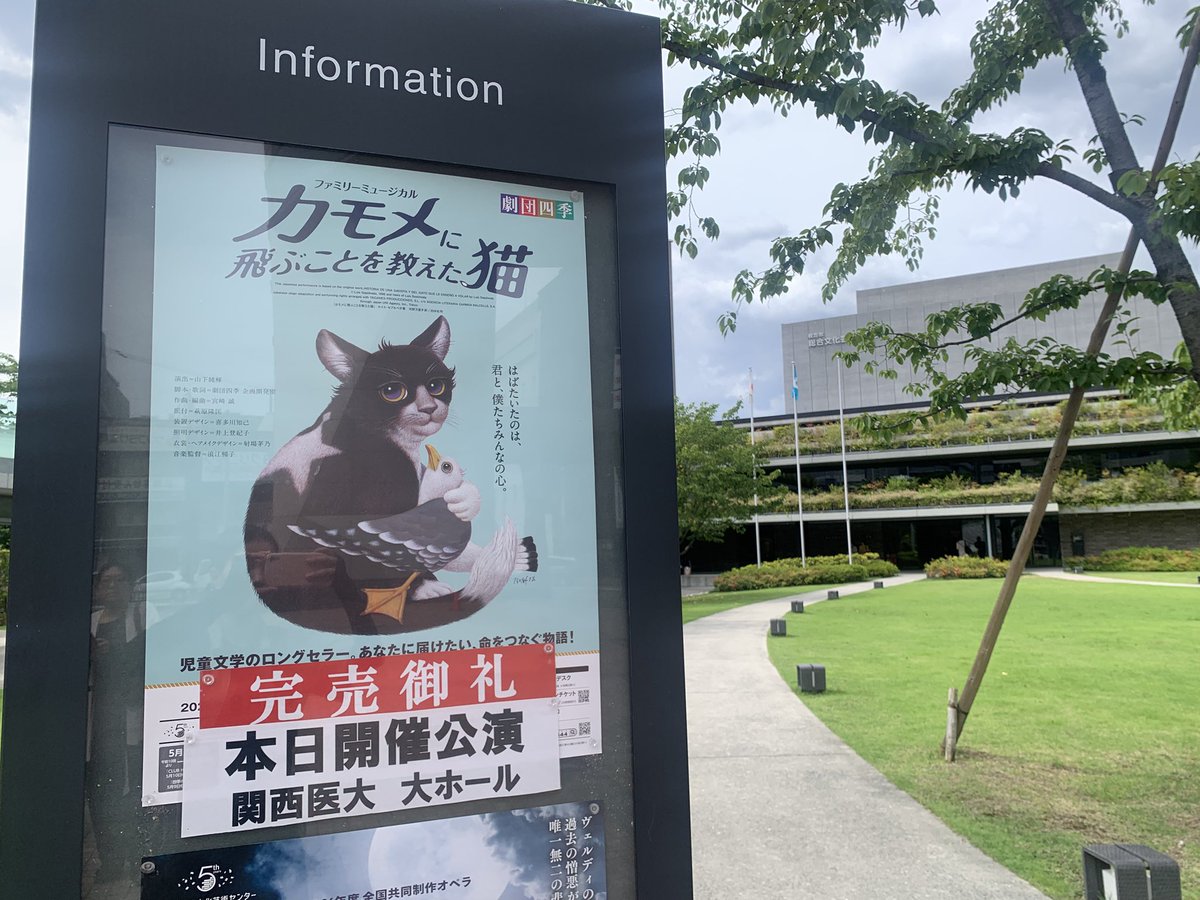mmb8o's tweet photo. カモメに飛ぶことを教えてくれた猫

むめばにピアスが無い事を教えてくれたあましき（@itojun_4d ） https://t.co/OzG83P6DmU