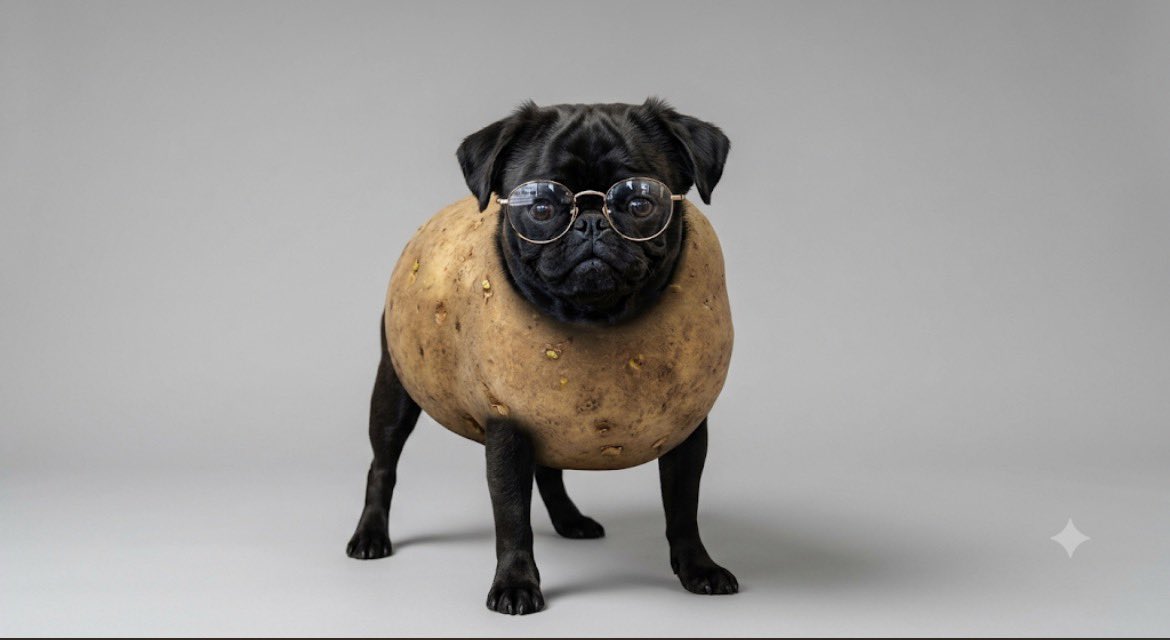 Yan4iReborn's tweet photo. A walking potato/african water pug with sketch eyes👓 https://t.co/5JOS5OE7RV
