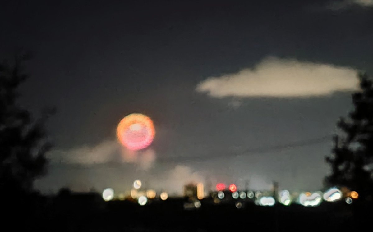 MOkiokiPT's tweet photo. 花火🎆
青と赤が回転する🎆
花火師さんスゴイ🎆
毎年進化してるんですね🎆

写真は進化ししていないけど…🎆

よさこい始まりました⭐ https://t.co/Rod2OCI1mz