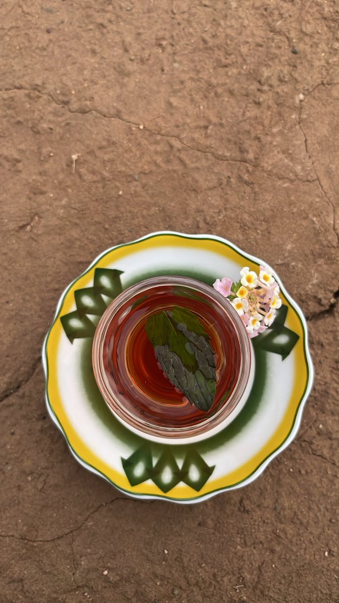 f996xx's tweet photo. سبحان الله 
الحمدلله 
استغفرالله 
🌴🌱🌴🌱. https://t.co/LRsQObcYk6