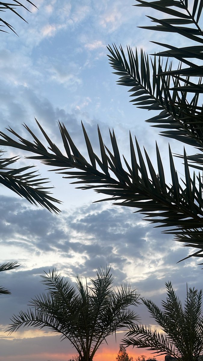 f996xx's tweet photo. سبحان الله 
الحمدلله 
استغفرالله 
🌴🌱🌴🌱. https://t.co/LRsQObcYk6