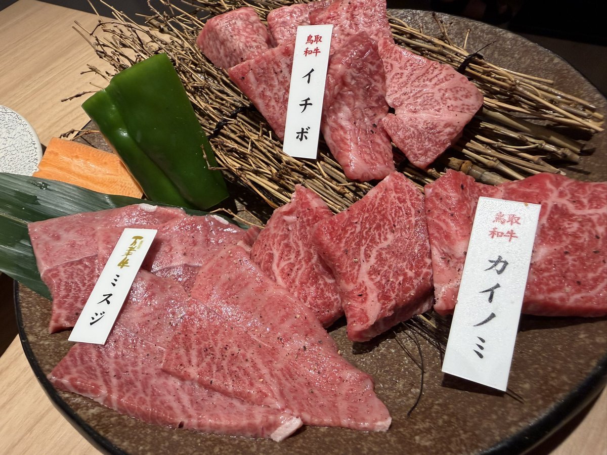 Bufferiiiin's tweet photo. 今日は広島→島根→鳥取へ
弾丸移動を満喫しました！
出雲の蕎麦💊
鳥取の…肉💊
明日は砂丘からお届けします！ https://t.co/4osPG7LS31
