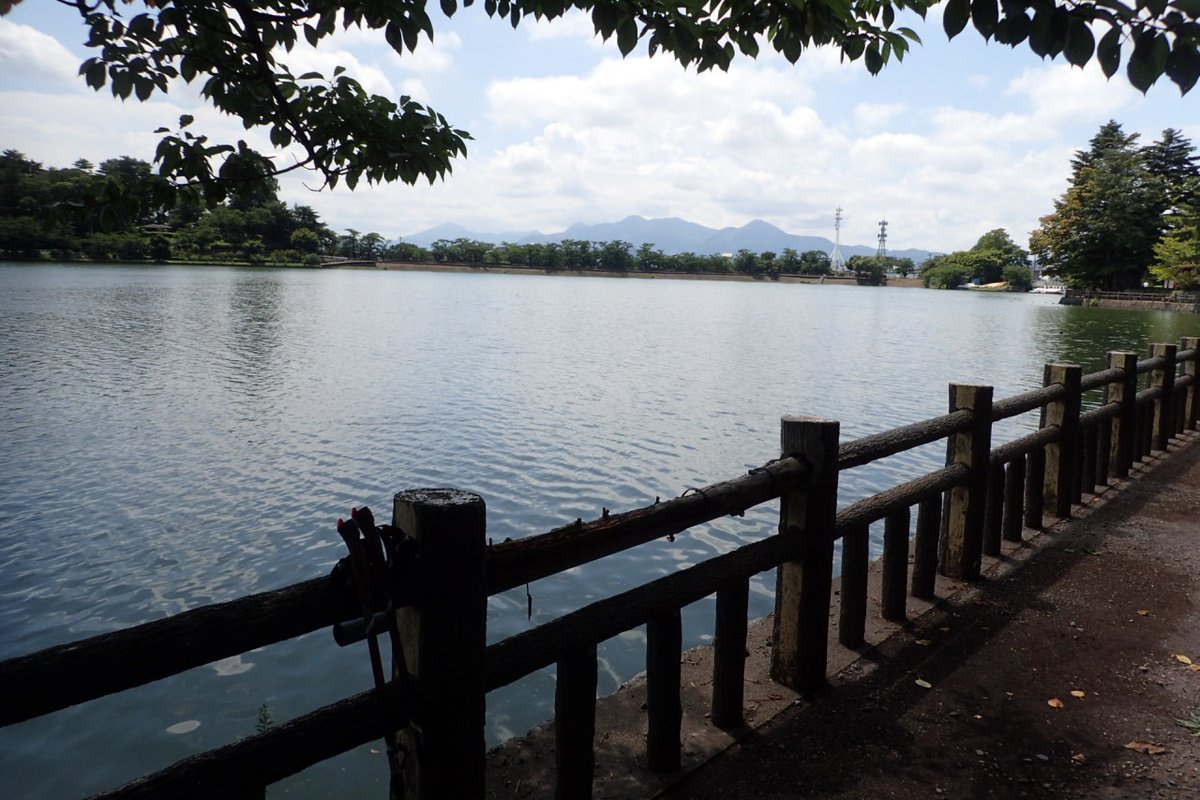 Makinobayashi's tweet photo. 昨日より涼しい真夏日の気温
高松の池の畔
吹き渡る風が気持ち良いです
ランチは期間限定の油淋鶏S 900円
かみさんはカレーライス 800円
#高松の池 #芝水園 #田舎家 https://t.co/DtJtEqf7vD