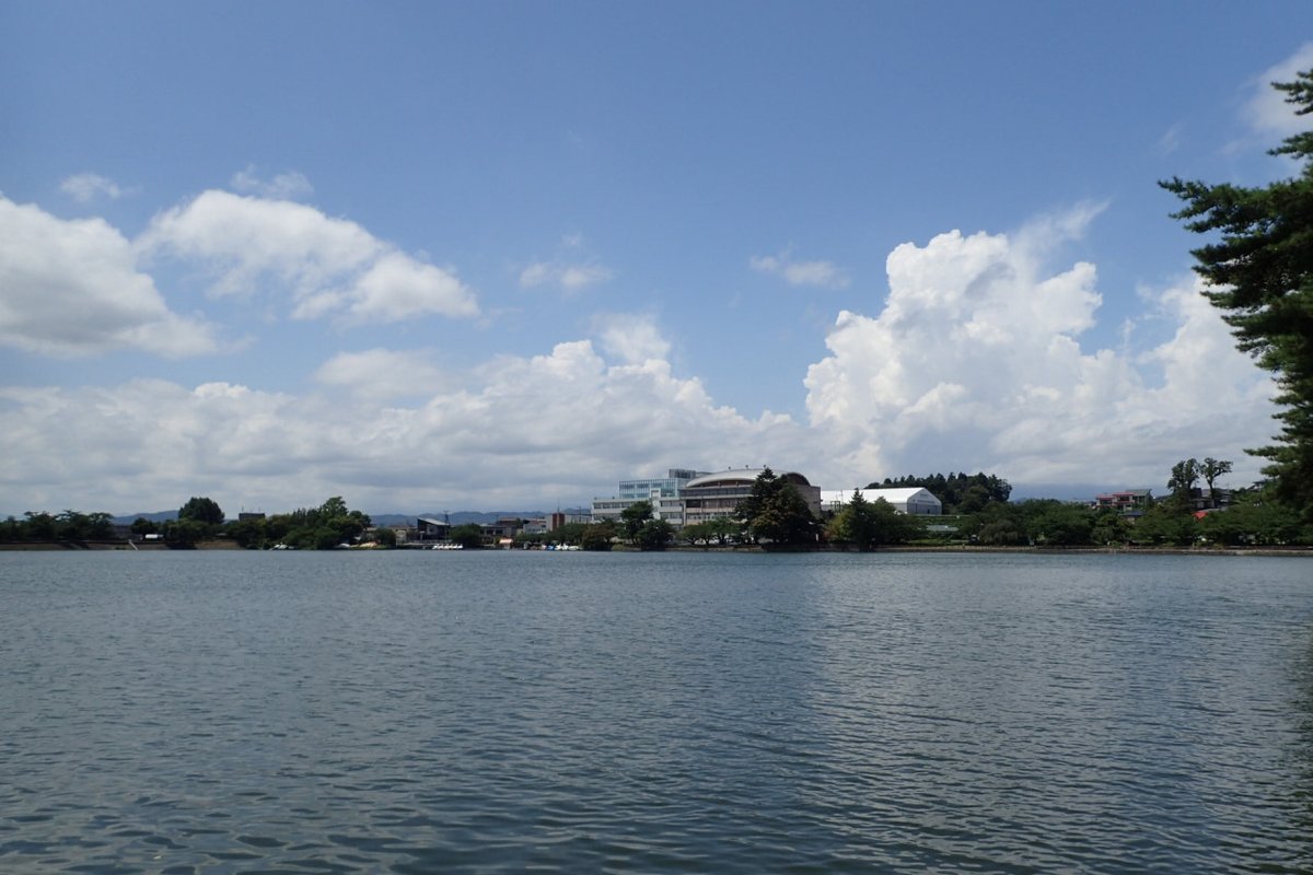Makinobayashi's tweet photo. 昨日より涼しい真夏日の気温
高松の池の畔
吹き渡る風が気持ち良いです
ランチは期間限定の油淋鶏S 900円
かみさんはカレーライス 800円
#高松の池 #芝水園 #田舎家 https://t.co/DtJtEqf7vD
