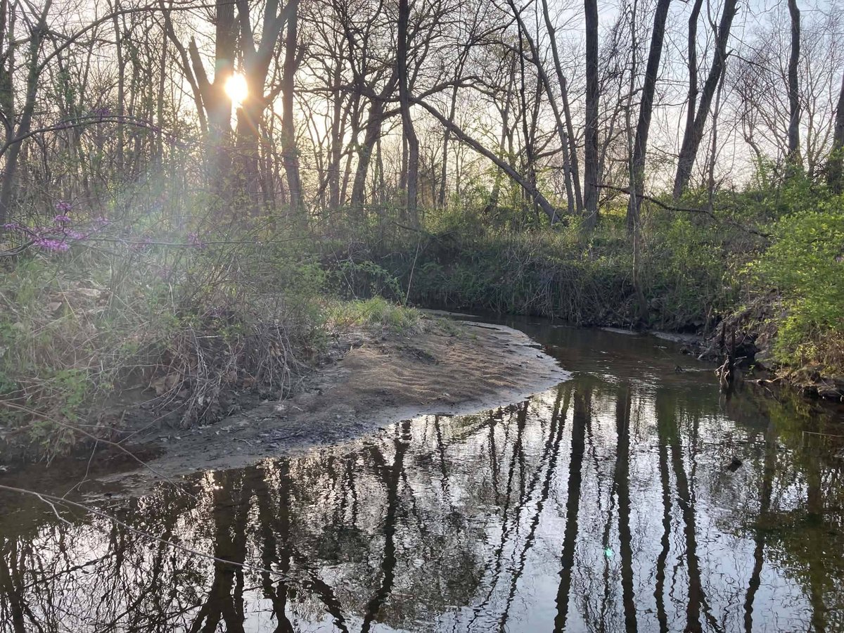 MicheleBee2a's tweet photo. the weight of clarity is burdensome. do you ever feel like truth is just a matter of perspective, or is it purely fixed. https://t.co/F66pZVZA9I