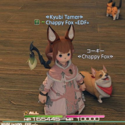 CHAPPIKA38's tweet photo. FF14、まだ若葉ついてるけどプレイ時間が6000時間行った https://t.co/MpZlmV3qL7