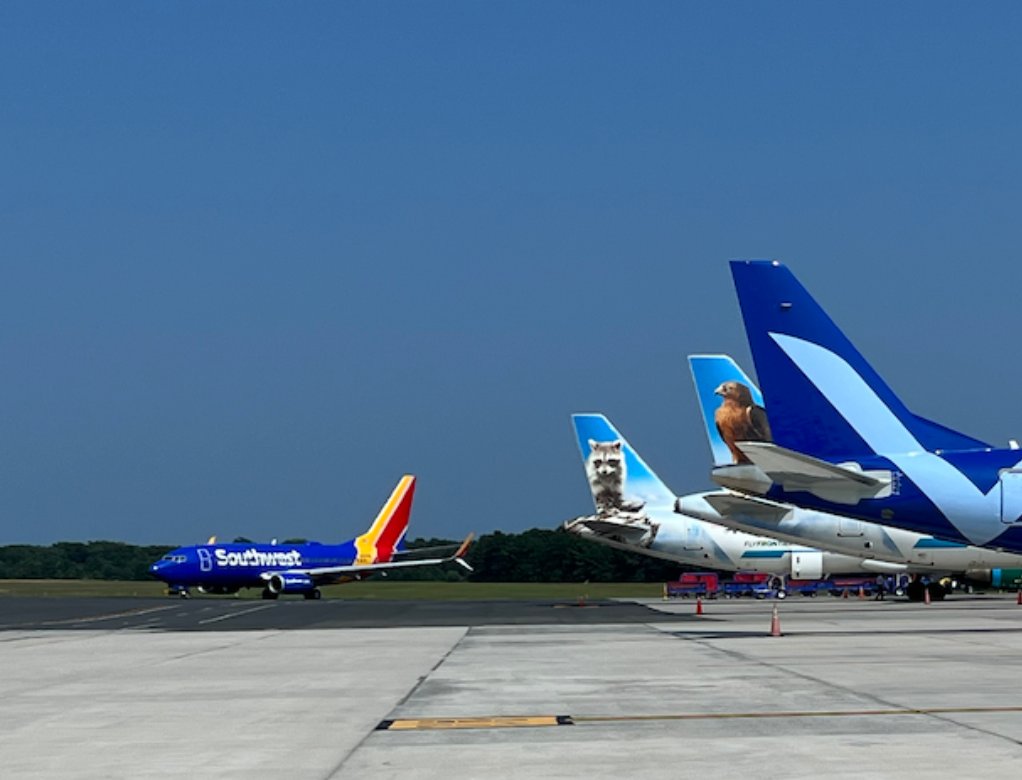 LIMacArthur's tweet photo. "Tails" of summer travel. Did the trip make it out of the chat? @AveloAir @BreezeAirways @CapeAir @FlyFrontier @JetBlue @SouthwestAir ✈️ Send us your summer travel tales! 👇 https://t.co/LbeEzPgD7h