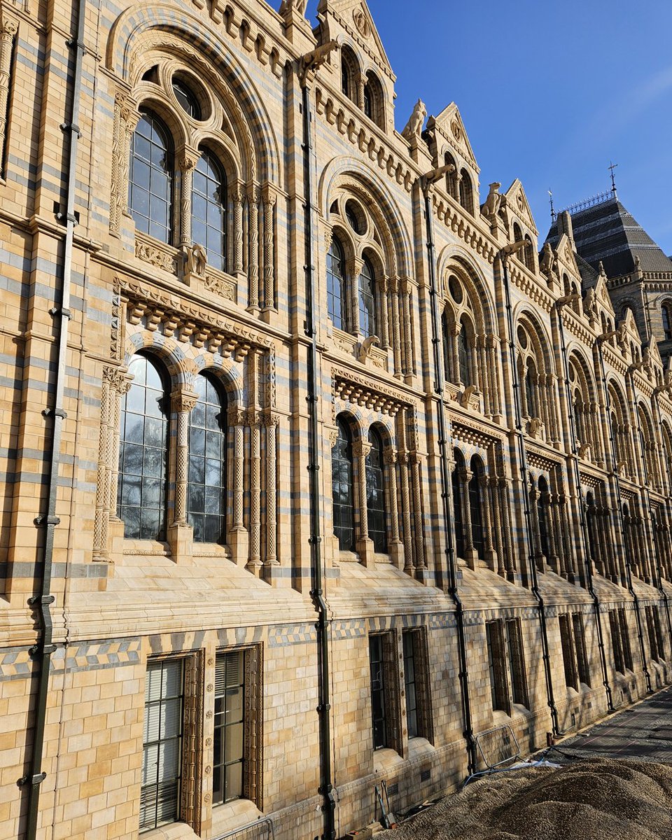 NHM_London's tweet photo. We share a lot about the specimens on display in the Museum, but the visit starts right outside our building! 😍

Have you ever taken the time to stop and admire our façade? Take a look at these stunning windows! https://t.co/89nY7mYJWa