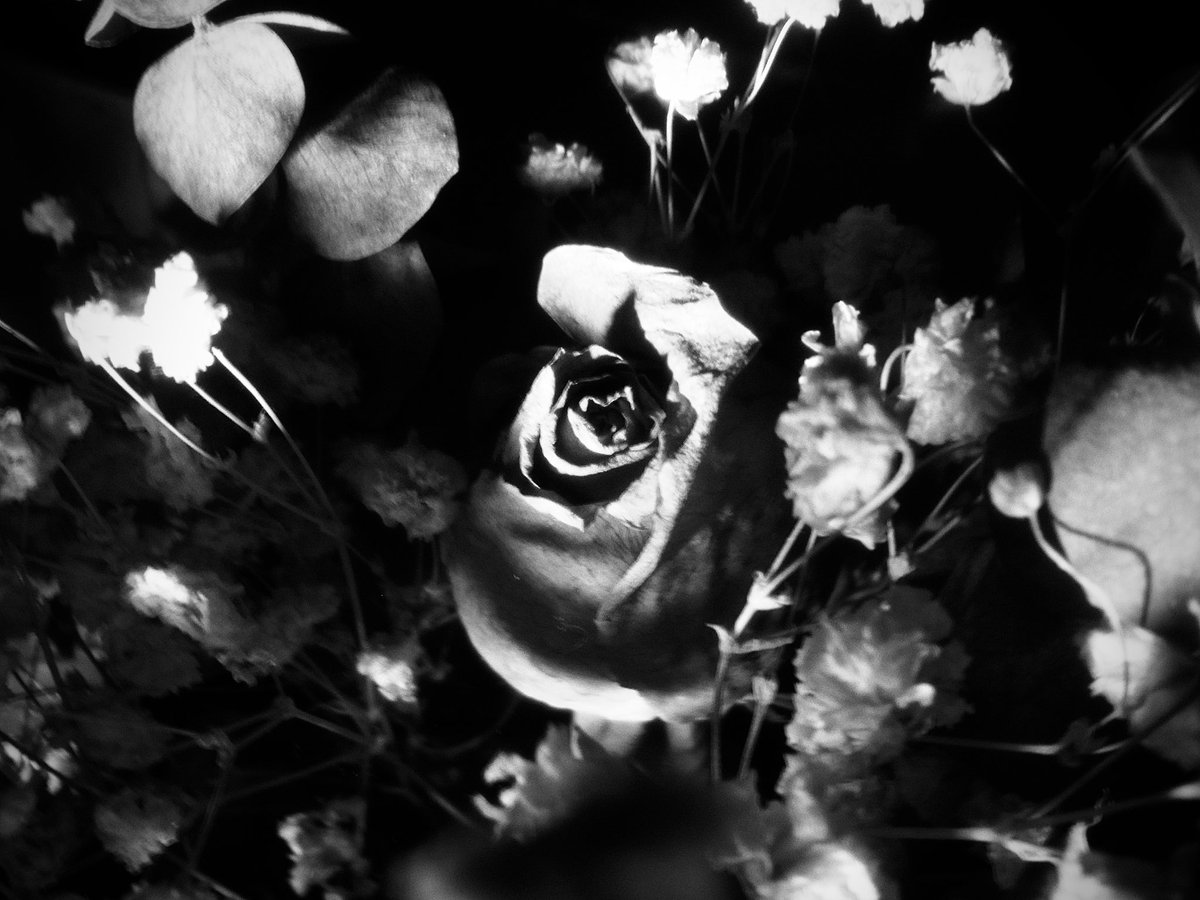 ztavro's tweet photo. Trying an old cam #ricohcx4 https://t.co/TGqaNMuZLs