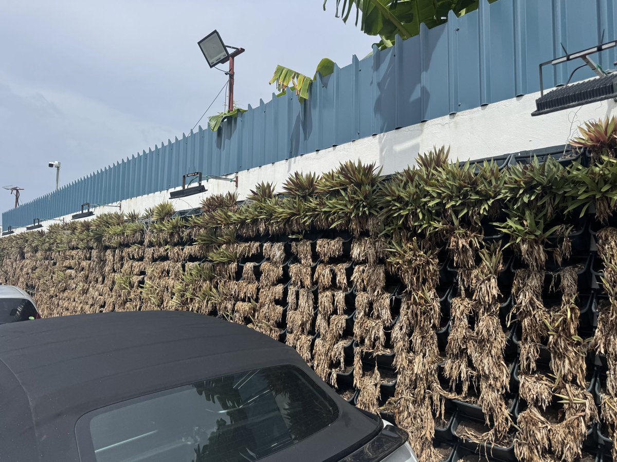 mohamedkudu's tweet photo. ސައްތަ އިން ސައްތަ ސަރުކާރު ހިއްސާވާ ކުންފުނިތަކަކީ 'ރައްޔިތުންގެ ފައިސާ" އިން ޙަރަދު ކުރަމުންދާ ކުންފުނިތަކެކެވެ. އެތަންތަނުގައި ތިއްބަވާ ވެރިން ފައިސާ ޙަރަދުކުރަންވާނީ އެވަރު ވިސްނަވައިގެންނެވެ. 'ޕެޓް ޕްރޮޖެކްޓް' ގޮތުގައި ރައްޔިތުންގެ ފައިސާ ބޭކާރު ގޮތުގައި ޙަރަދުކުރެއްވުމަކީ އެކަމަށް ޖަވާބުދާރީވެވަޑައިގަންނަވަން ޖެހޭނެ ކަންކަމެވެ.@STELCOMALDIVES