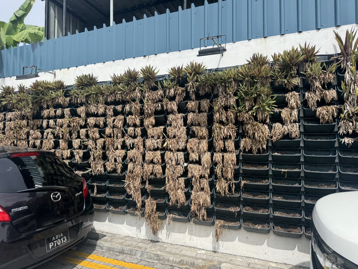 mohamedkudu's tweet photo. ސައްތަ އިން ސައްތަ ސަރުކާރު ހިއްސާވާ ކުންފުނިތަކަކީ 'ރައްޔިތުންގެ ފައިސާ" އިން ޙަރަދު ކުރަމުންދާ ކުންފުނިތަކެކެވެ. އެތަންތަނުގައި ތިއްބަވާ ވެރިން ފައިސާ ޙަރަދުކުރަންވާނީ އެވަރު ވިސްނަވައިގެންނެވެ. 'ޕެޓް ޕްރޮޖެކްޓް' ގޮތުގައި ރައްޔިތުންގެ ފައިސާ ބޭކާރު ގޮތުގައި ޙަރަދުކުރެއްވުމަކީ އެކަމަށް ޖަވާބުދާރީވެވަޑައިގަންނަވަން ޖެހޭނެ ކަންކަމެވެ.@STELCOMALDIVES