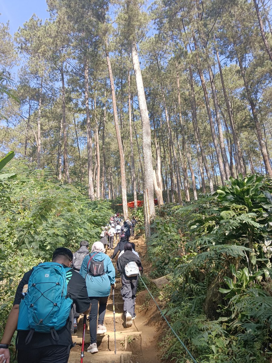 DandelionlyYW's tweet photo. Siapa ini yg naik gunung? https://t.co/dFQZNL5q47