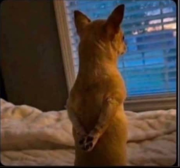 things_zone's tweet photo. Lagos landlords watching you spend lavishly while your rent is almost due🚶 https://t.co/Ff7OQlmHjb