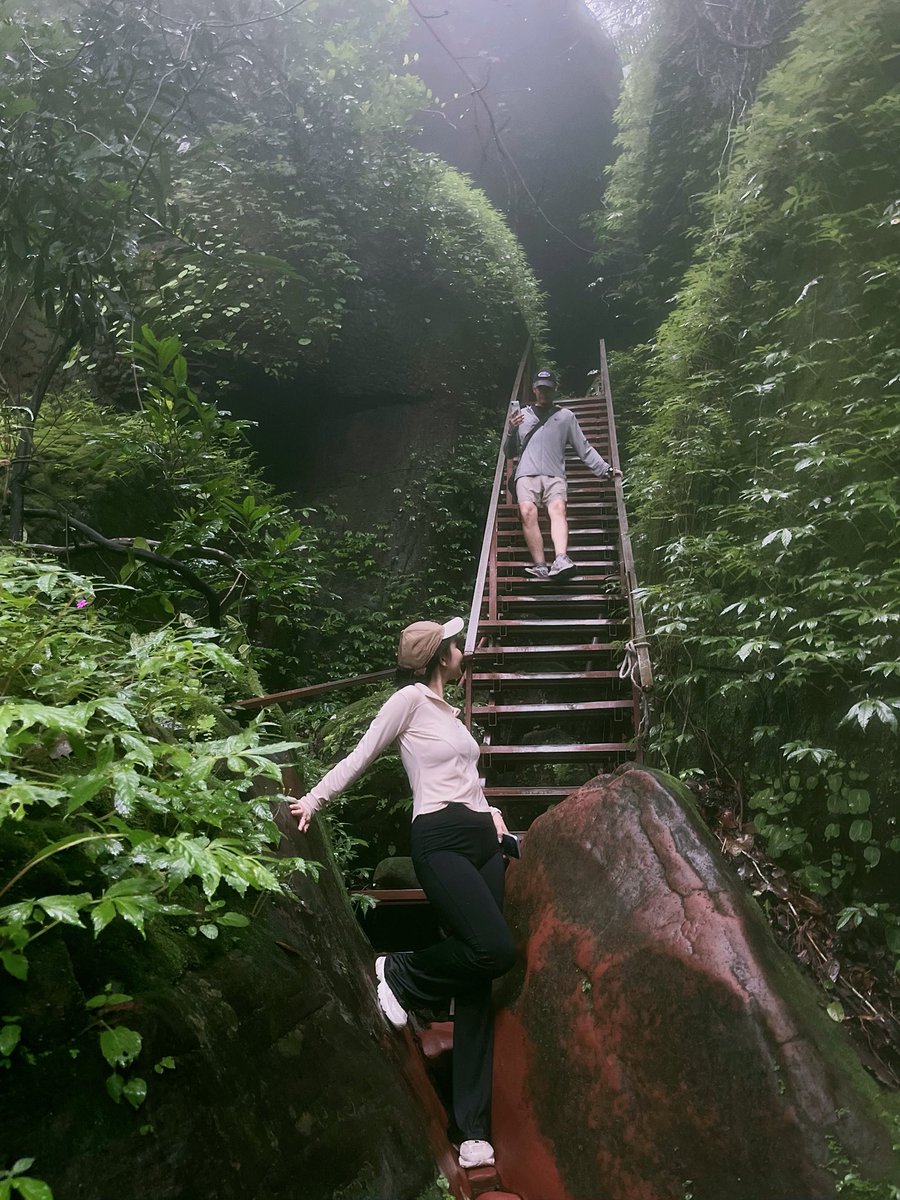 Bordee_'s tweet photo. 🍀🍃 https://t.co/Gu418mZKKH