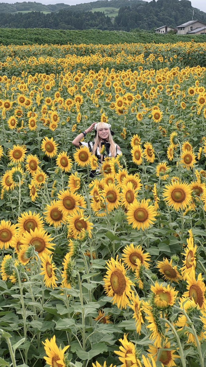 Taketo_dAte's tweet photo. 🌻ひまわり浮かれポンチレディ🌻 https://t.co/gKuOy5OlCD