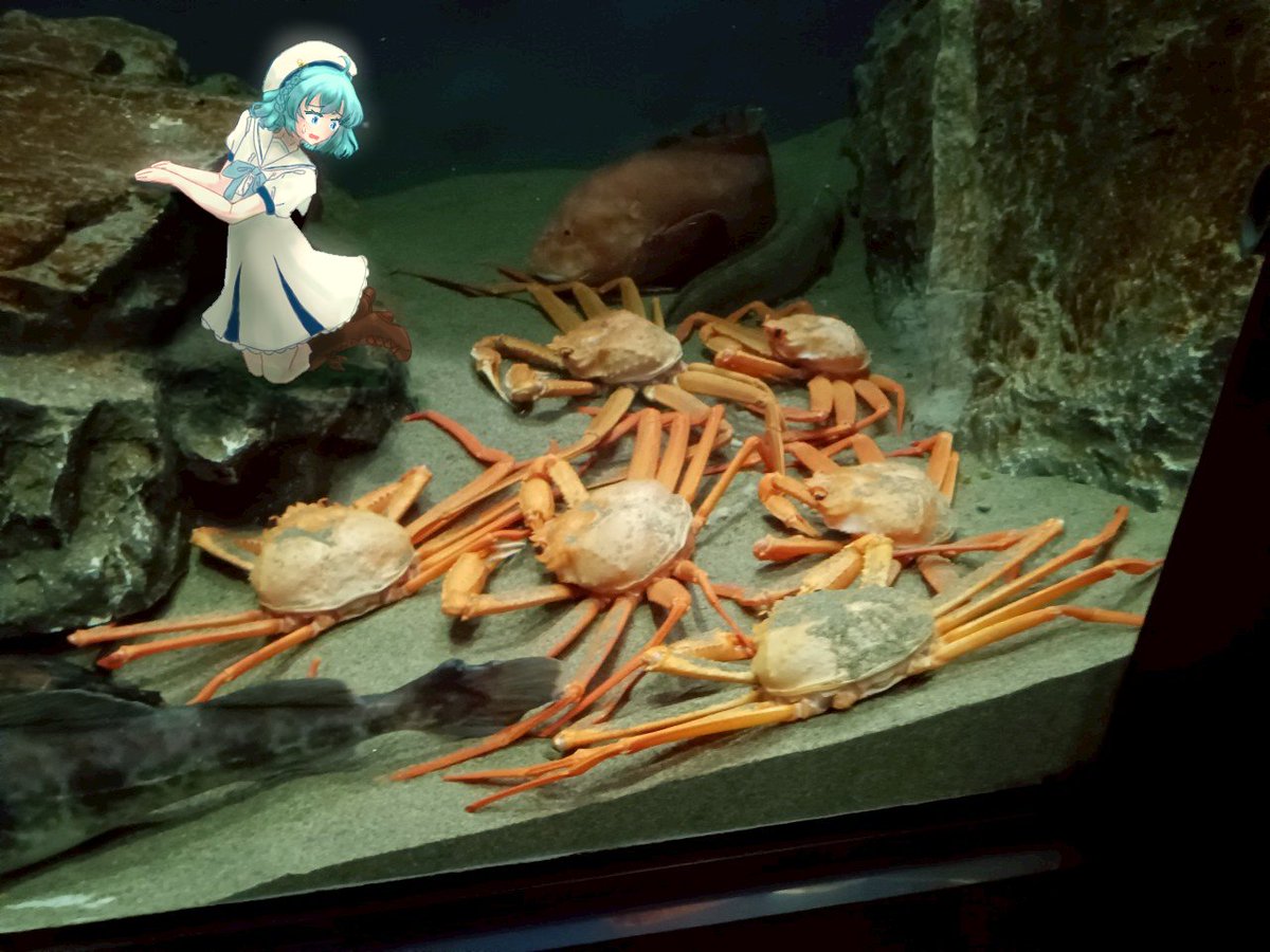 PoCai62812's tweet photo. このシリーズ描きたいね
そのうち写真募集とかしたい
#アクおどあーと https://t.co/1Nt6oM89xl