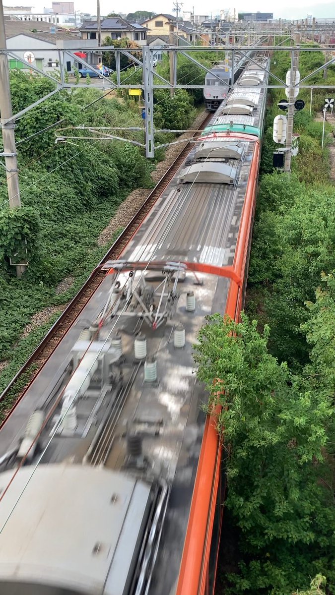 SanyoMuchan's tweet photo. 鹿児島本線田代-鳥栖
線路脇の雑木がパンタに当たりそうになっ��いたので、週明けにも通報しようかと思っていたら本日伐採されていた。
沿線の雑草雑木管理が後手に回っていて、倒木倒竹やガラス割れが多発。 https://t.co/HBFdjYjPBk
