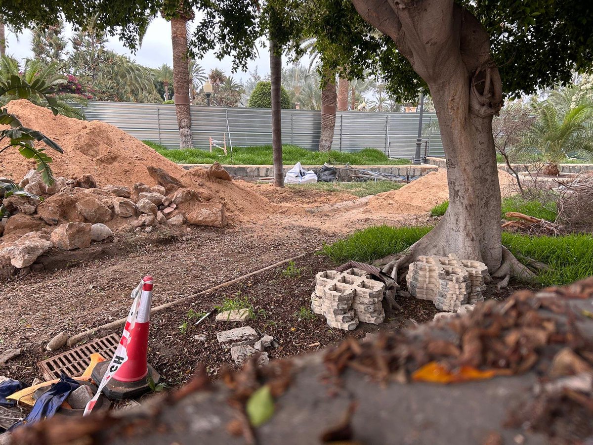 StopArboricidio's tweet photo. Nestor imaginó el Pueblo Canario como "Un Vergel"; ahora sus sucesores se esfuerzan en arrancar vegetación y "plantar" sombrillas... por las nuevas obras ya han arrancado 2 enormes flaboyanos!

#StopArboricidio @LpaVisit @PedroQuevedoIt @CarolinaDarias  @aytolpgc https://t.co/BpRc53n30q