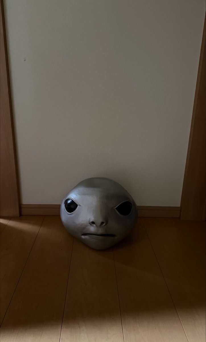 FactoryOfSmile4's tweet photo. 姉が来たら通るであろうポイントにしろがね人の頭設置しといたら防音室いても聞こえるくらいの声量で驚いてて笑った https://t.co/28SsfOI7zB