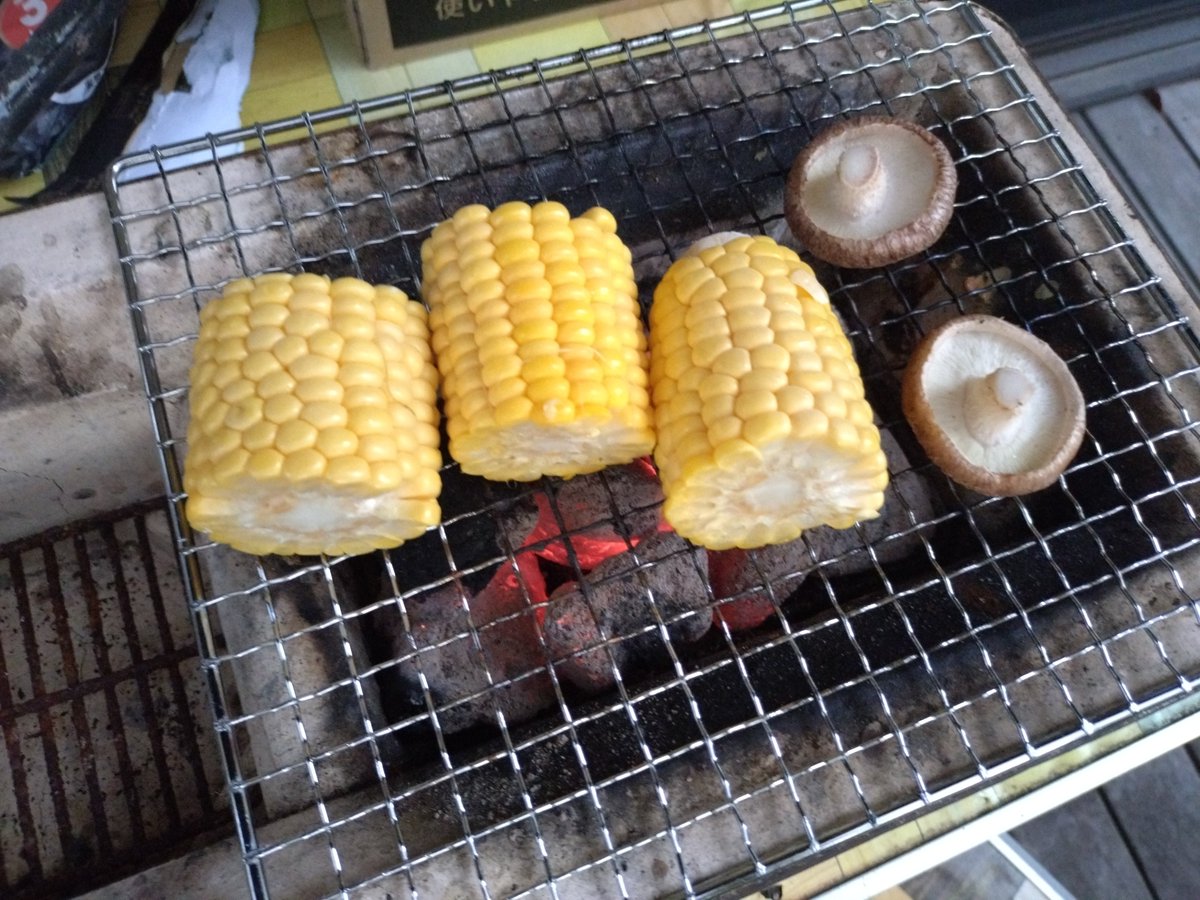 molester_addict's tweet photo. 涼しくなったから！（なってない）

#ヤマダミール https://t.co/znFKUEjipd