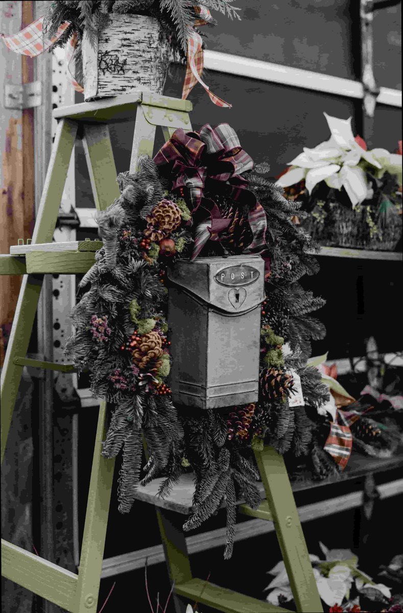 flower1211_'s tweet photo. 🧸🌚
I took the long way home without expecting much. Stay curious. ☕ https://t.co/1l2ADD7BE8