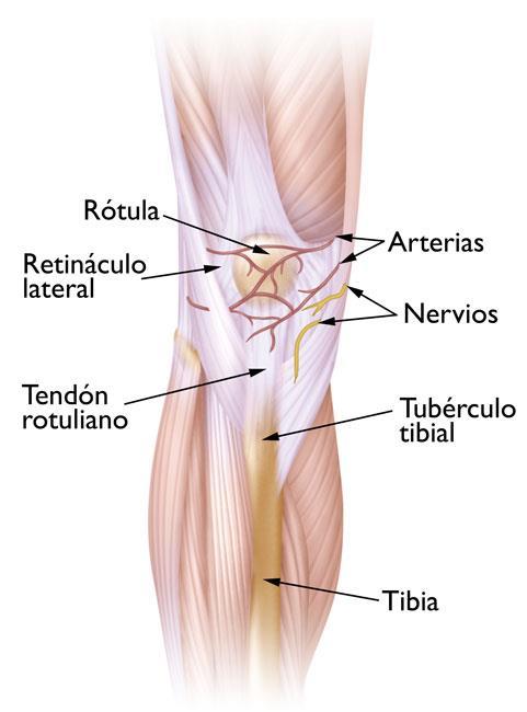 sasutra3's tweet photo. Las funciones de la #Rotula en un #Futbolista
#Futbol #Liga #Gol #Fisioterapia #Anatomía #Patela #LCA #Lesión #Fisioterapeuta
https://t.co/77Uk9Mq4AX https://t.co/AiBmOzAXvs