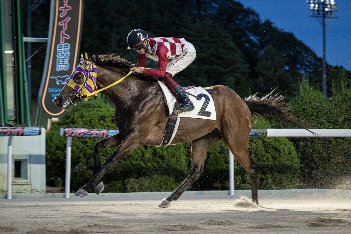 sagakeiba's tweet photo. 今日のメインレース『長崎街道轟木宿特選』は、タケノオーカンが勝利しました🐎
長谷川蓮騎手、タケノオーカン、おめでとうございます！
#さがけいば #サガデーナイト競馬 https://t.co/Z8crImIkz5
