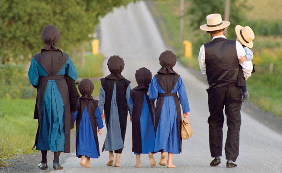 TheExiledMedic's tweet photo. amish haben quasi kein übergewicht keine unfruchtbarkeit keinen krebs keinen diabetes kein metabolisches syndrom...die kriegen 10+ kids und sind unfassbar happy

die haben quasi jedes einzelne gesundheitsproblem abgewehrt an dem der rest der welt gerade stirbt

wir müssen die dringend mehr studieren