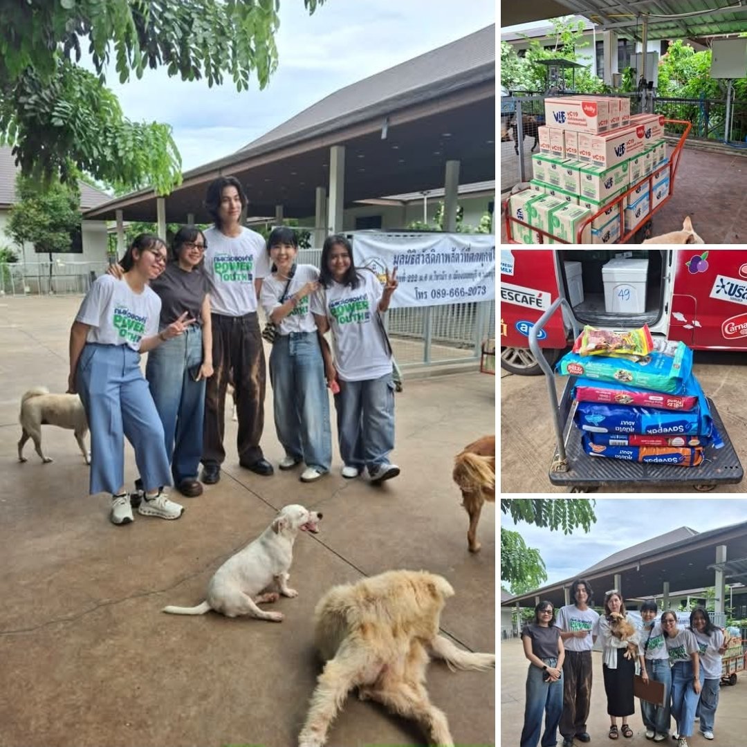 TrendforGulf's tweet photo. FB Updated: Animal Sanctuary Thailand มูลนิธิสวัสดิภาพสัตว์ที่ตกทุกข์ได้ยาก
#GulfKanawut #คนหล่อขอทำดี

คุณอุ๊ สุดสัปดาห์ และอัมรินทร์ พริ้นติ้งแอนด์พับลิชชิ่ง จำกัด และ คุณ กลัฟ คณาวุฒิ ไตรพิพัฒนพงษ์คนหล่อขอทำดี ได้ร่วมกันนำอาหารเม็ดสุนัข และอาหารกระป๋องแมวมาบริจาคและร่วมแจกอาหารให้ทั้งน้องหมาและน้องแมว ที่คอกไทรม้า มูลนิธิสวัสดิภาพสัตว์ที่ตกทุกข์ได้ยาก