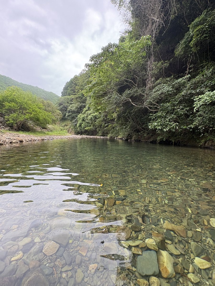 Cervical_7's tweet photo. 昔泳いでた淵がかなり浅くなっててちょっと悲しかった
ここにお供物してから川に飛び込んでおったのぅ https://t.co/41XhWZtjc1