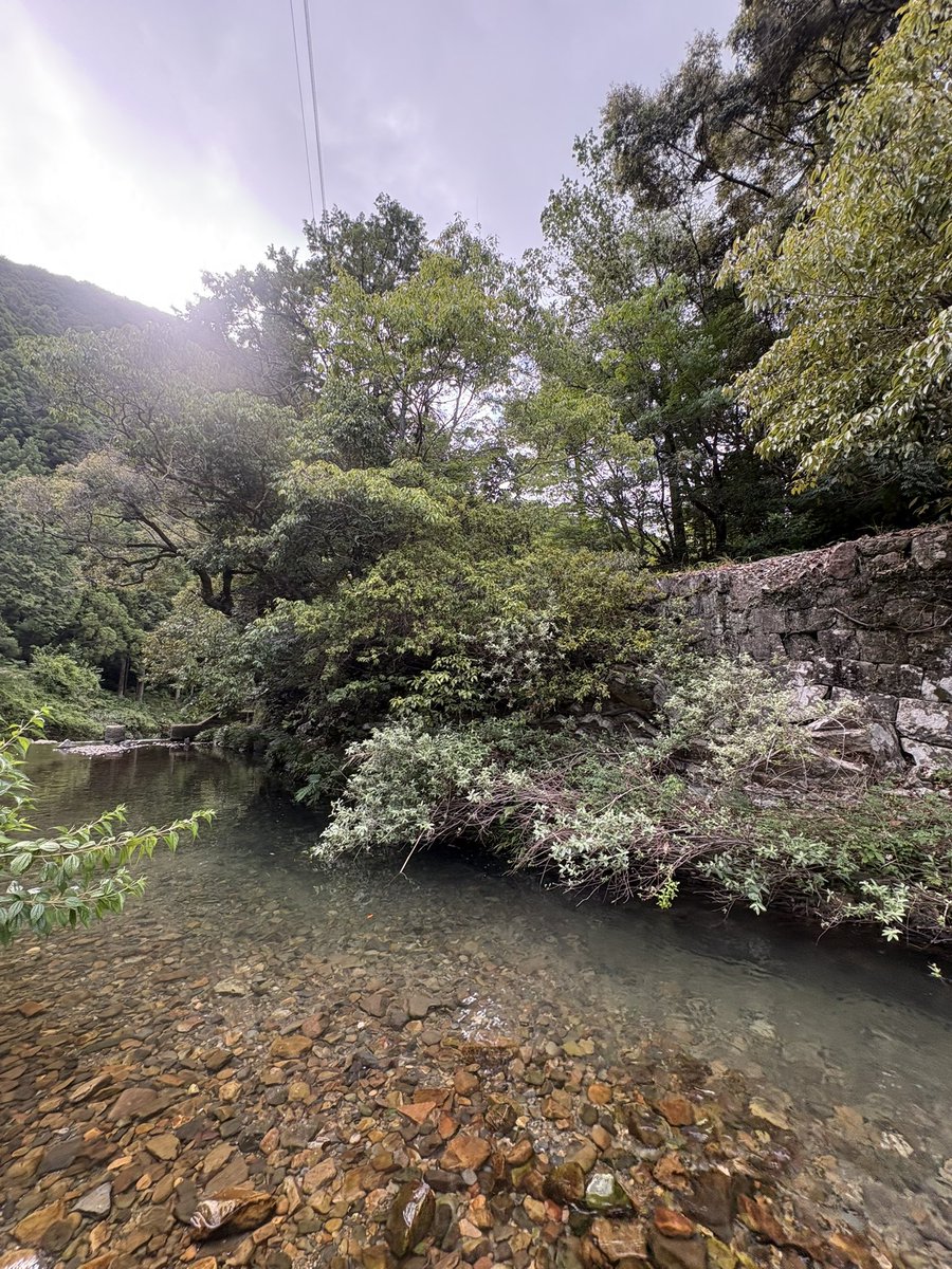 Cervical_7's tweet photo. 昔泳いでた淵がかなり浅くなっててちょっと悲しかった
ここにお供物してから川に飛び込んでおったのぅ https://t.co/41XhWZtjc1