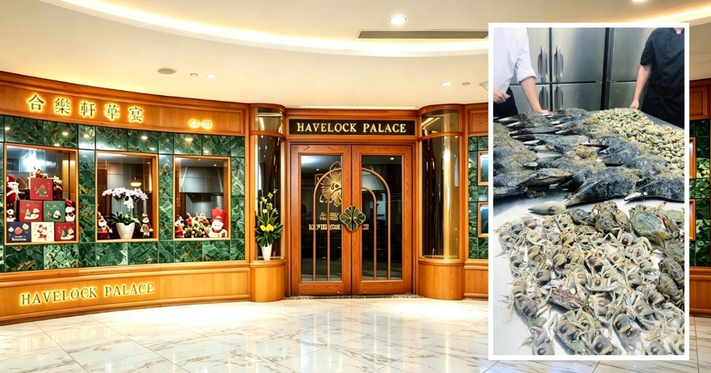 MothershipSG's tweet photo. S'pore restaurant involved in Changi coastal foraging controversy apologises https://t.co/OLUixhK6KP https://t.co/LaSSoa4fug