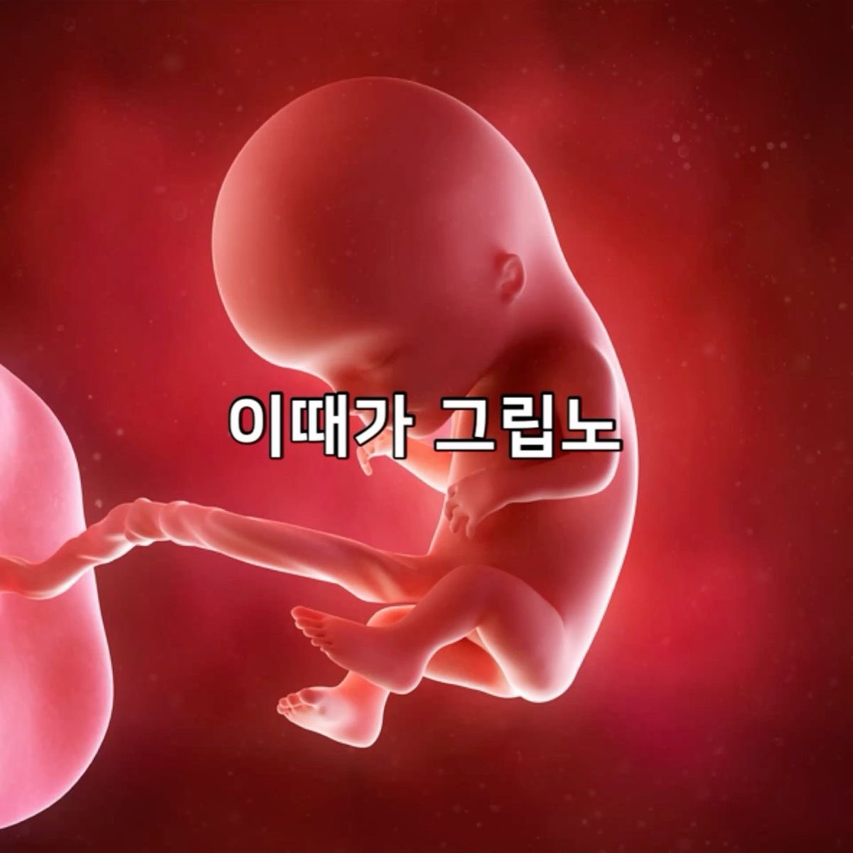 new_wen08's tweet photo. #병신계 #일상계 #꼬추계 #응가계 #저급계 #똥 #거유가좋아요 #빈유가좋아요 #개씹찐따 #친구구해요 #고경태 #BL #GL #아방수 #엄마태어나서미안해 #병신계 #똥 #친구가없어 #제발 #트친해줘요 #트친소 #일상계트친소 #병신계트친소 #고아트친소 트친구합니다 https://t.co/gFTeCogXlL