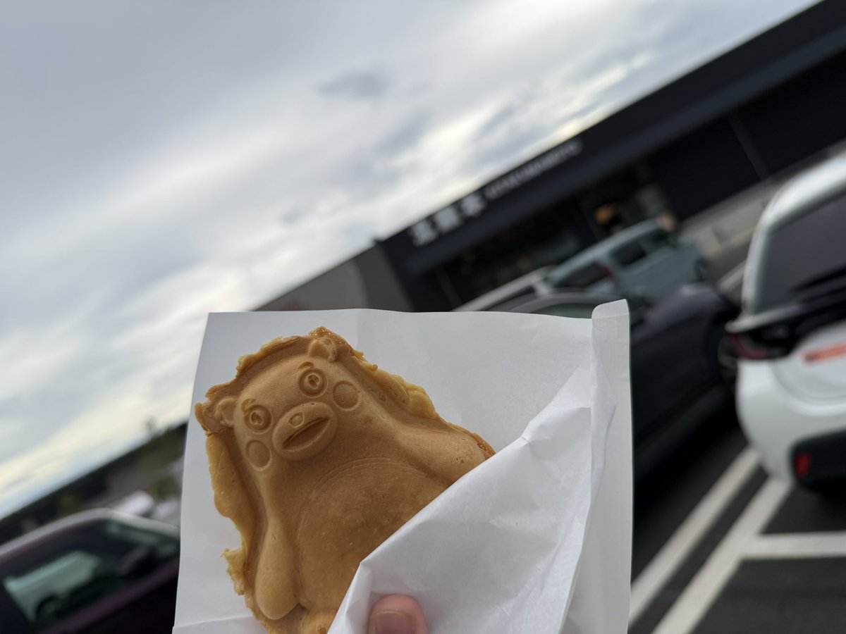 ROCCO323's tweet photo. かわいい🐻🩷 https://t.co/dy9fUEfoKE