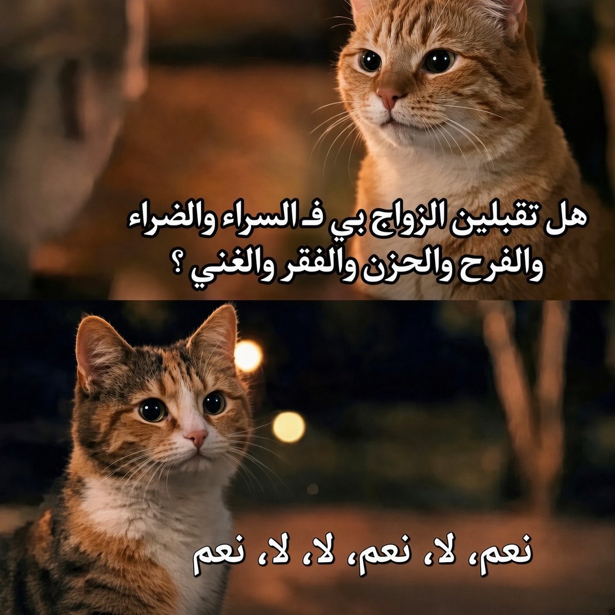 hj33ss's tweet photo. القط فوق: هل تقبلين الزواج بي في السراء والضراء والفرح والحزن والفقر والغني؟
القط تحت: نعم، لا، نعم، لا، لا، نعم
ترجمة: أوافق على الفرح والغني فقط… الباقي لا شكرًا 😹 https://t.co/USyRxFSC1f