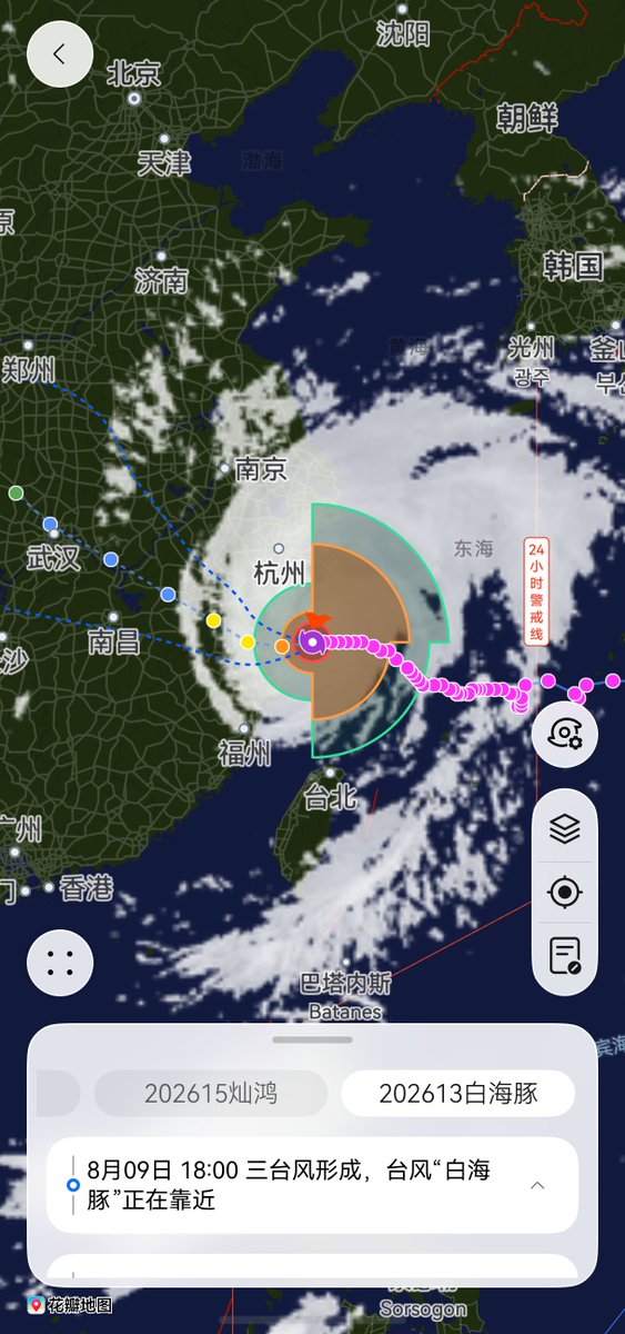 why1590792's tweet photo. 台风白海豚登陆了🌧 https://t.co/WsxZiqMzTF