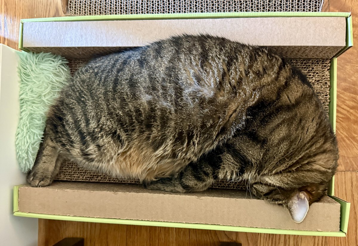 MissyBBBobtail's tweet photo. She may not listen to me when I call her name but she'll never tell me she needs poster board at 10 PM the night before a project is due. https://t.co/2vCDGXuTaC