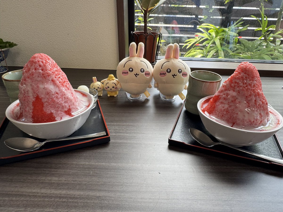 nso_46's tweet photo. 昨日はおとももちとぬい活今治タイムアタック
してきました！！
めちゃめちゃ楽しかった〜！！！💕 https://t.co/E1ydPvYu8A