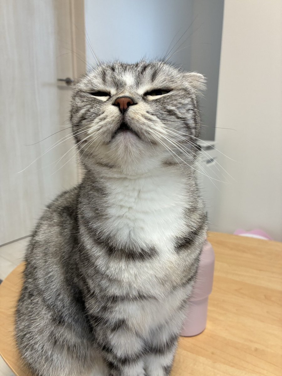 okmngs's tweet photo. 伸び縮みすごい https://t.co/T4trwIvj8T