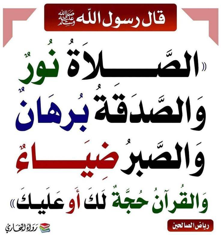 betaqaislamia's tweet photo. الصلاة والصدقة والصبر والقرآن https://t.co/wedPcJ6EZn