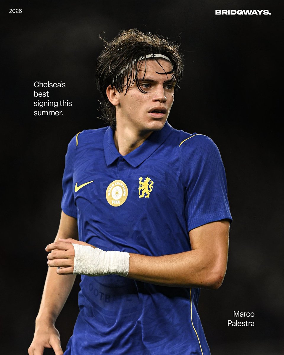 Bridgways's tweet photo. Chelsea’s best signing this summer. https://t.co/xMtSMmHoLt