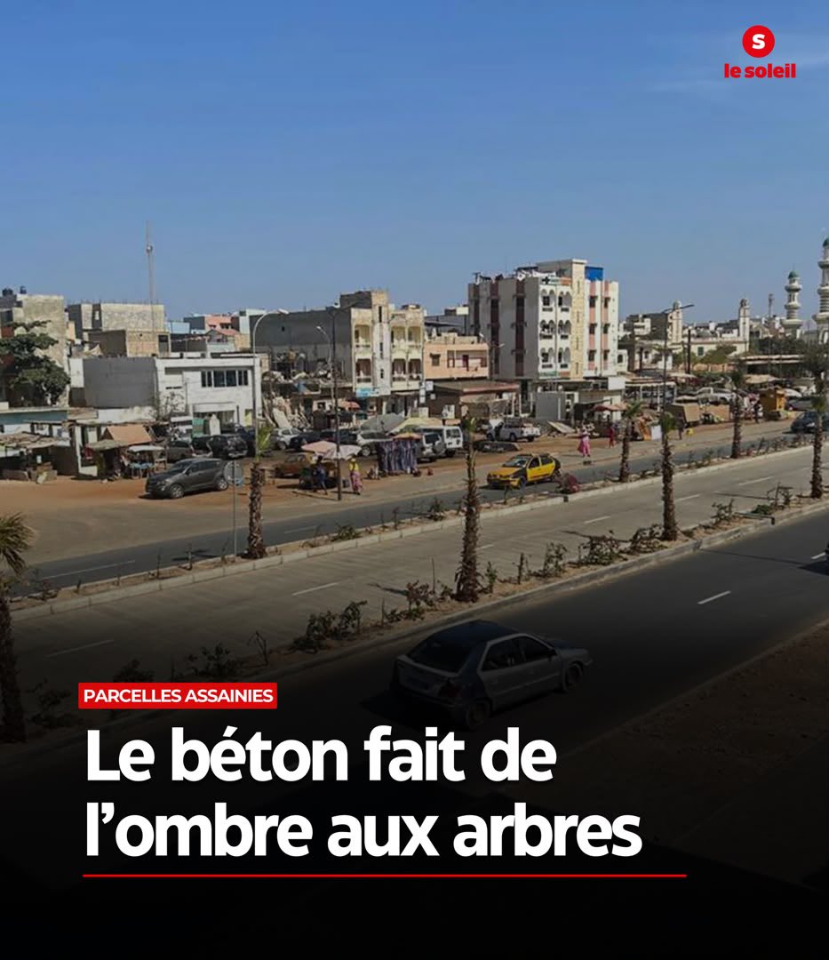 LeSoleilonline's tweet photo. Aux Parcelles Assainies, la chaleur s’intensifie. La disparition des arbres, la bétonisation et les eaux stagnantes accentuent l’inconfort des habitants, au moment où le Sénégal célèbre la Journée nationale de l’arbre à Nioro.

https://t.co/4izUC7Pu36 https://t.co/0FwHHZPQby