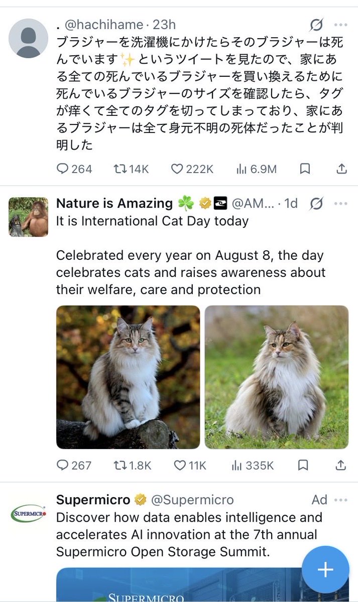 lilly_slow's tweet photo. くだらないのとねことえいごのきかん 🐈‍⬛笑 https://t.co/eQj6dG73Sf
