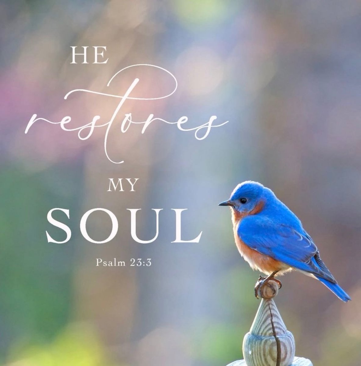 Oohoo3's tweet photo. Good Sunday Morning my sweet friends ☕️☕️☀️🙏🇺🇸✝️💗🤗

Enjoy your day and may, God bless 🙏✝️🕊️💗🤗

Not forsaking the assembling of ourselves together... exhorting one another, and so much the more as you see the Day approaching
Hebrews 10:2 https://t.co/9jg0fBZpPW