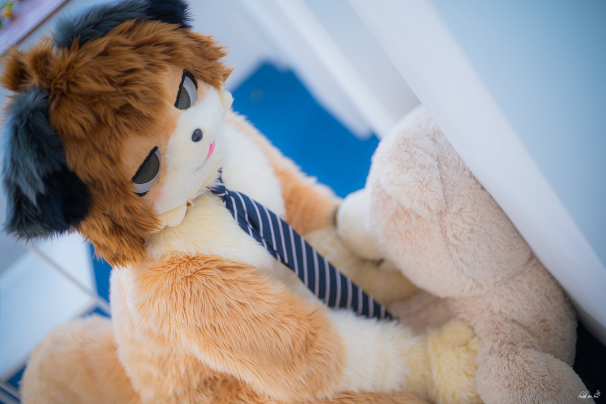 KimChun0's tweet photo. 이거...인형 사줘!!!!!!! 
📸:@Fluffy_fur_Fox 
#FursuitEveryday https://t.co/OOhNZPigCT