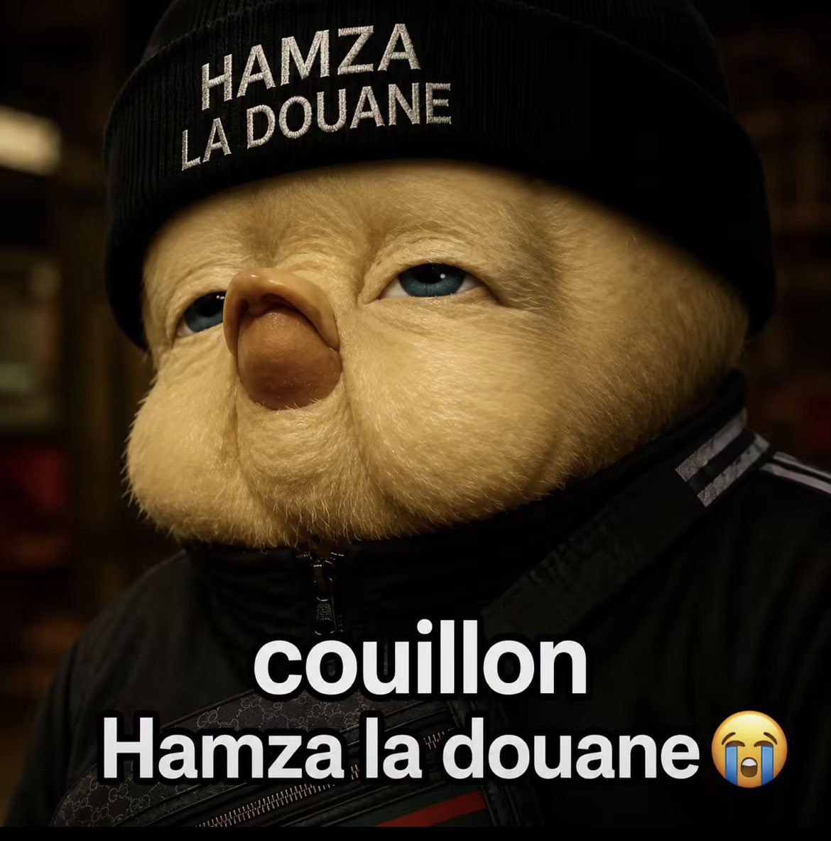 Beoit_'s tweet photo. Qui veut trade des stickers couillons? 
J’ai du légendaire !! 

#couillons #tastycrousty #tiktok https://t.co/W272prcogZ
