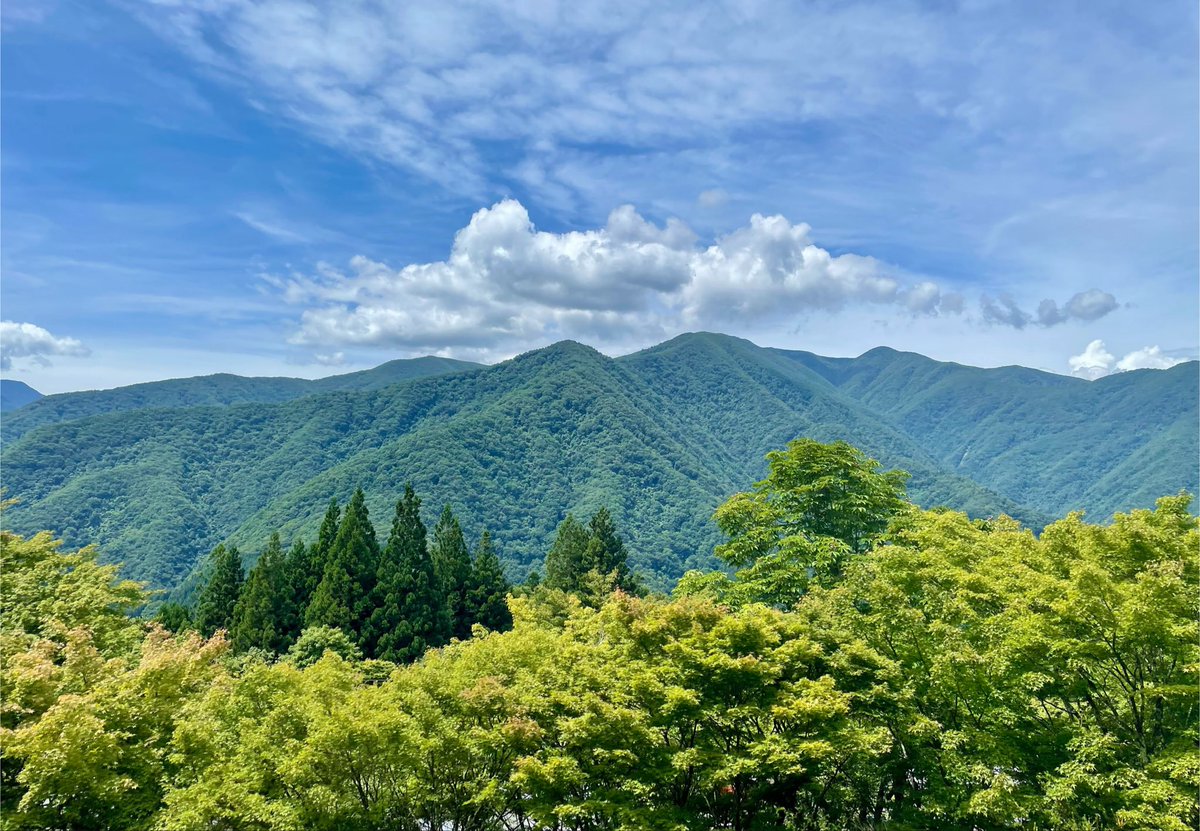 ktkwbin's tweet photo. なんかすごい雲だった山ときのこ🍄‍🟫 https://t.co/FOZteY8o0R