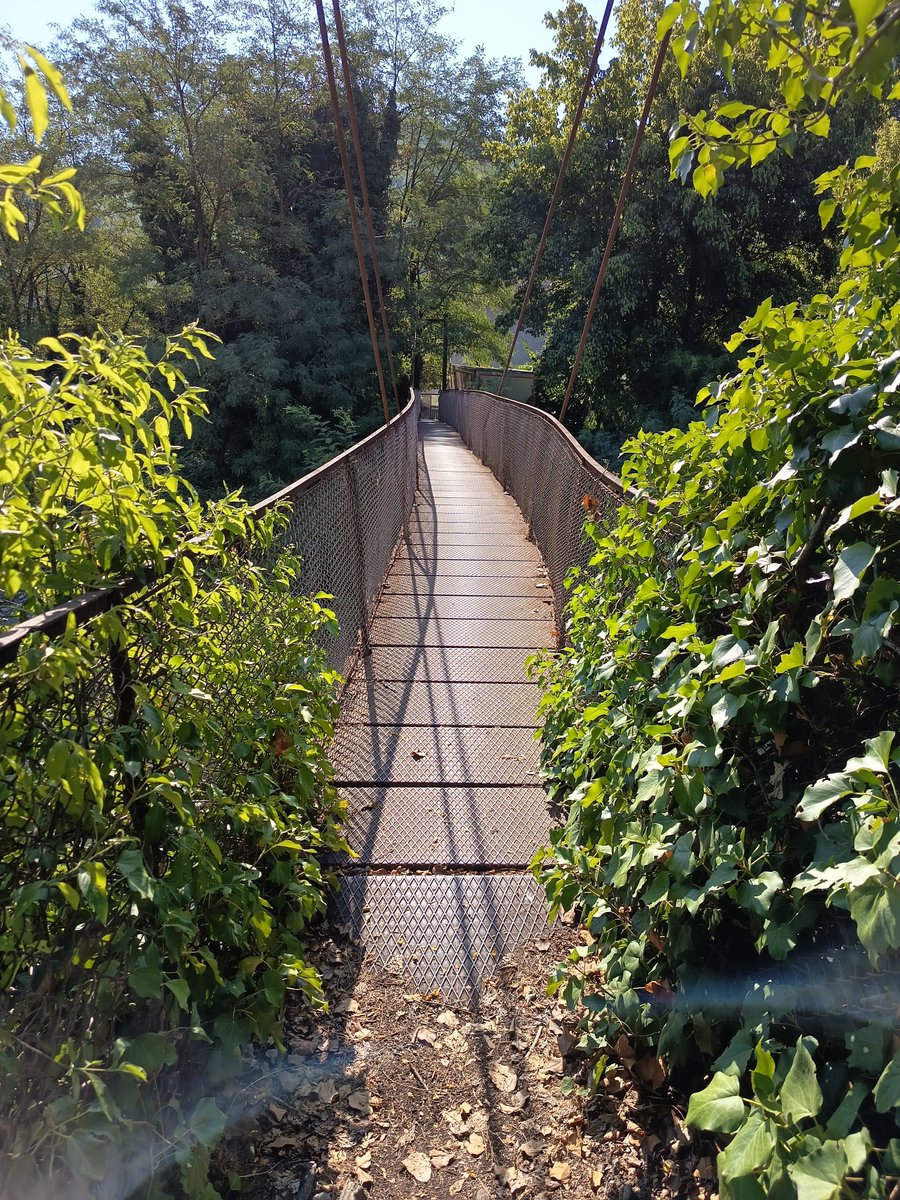Gianmarcomacpez's tweet photo. Buona domenica d'agosto e #iocorroqui 12 km tranquilli a passo costante,in salita e in discesa attraversando ponti e torrenti #runlovers la corsa mi regala sempre emozioni e sensazioni belle #summertime https://t.co/O4N8kNDUAW