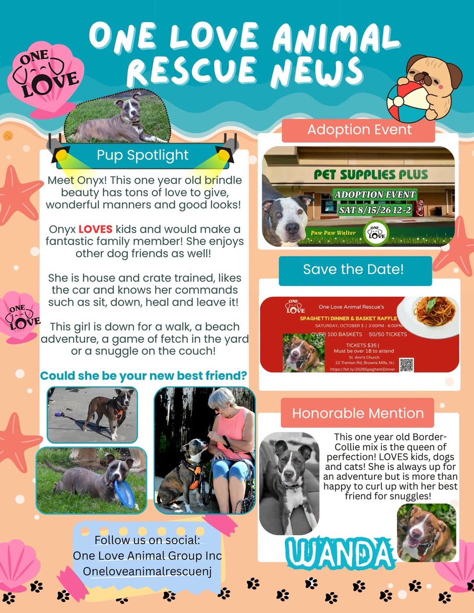 1LAnimalRescue's tweet photo. 📰🗞️ We've got updates! 🐾
#RescueDogs #MtLaurelNJ https://t.co/Bs6HBdgLbl